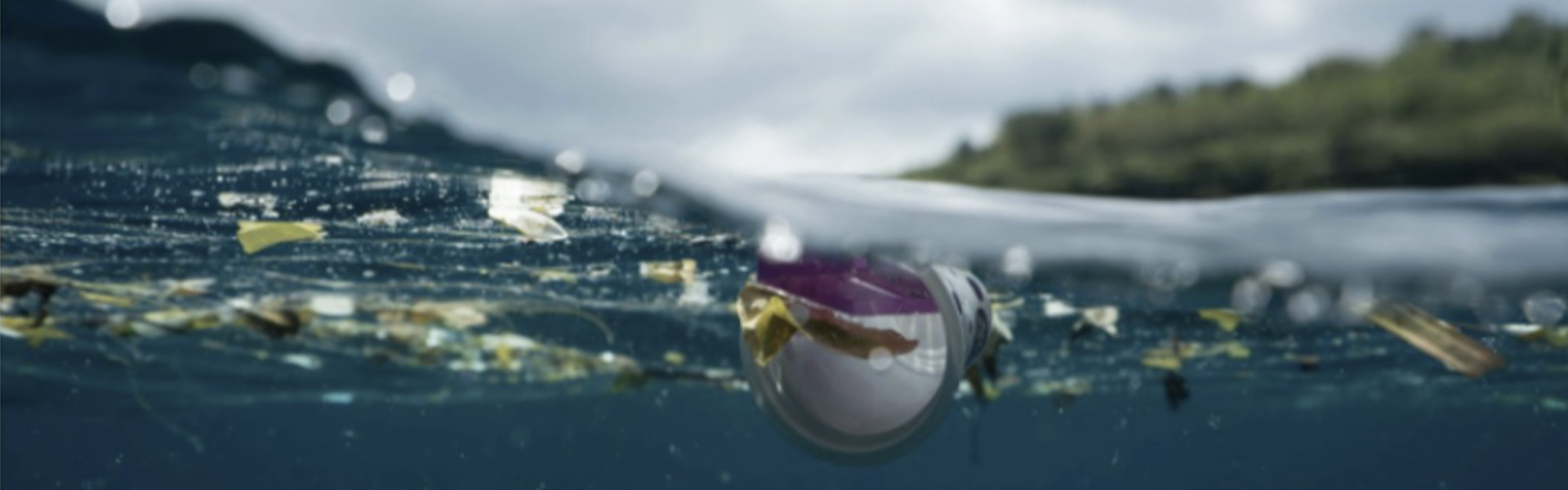 Screenshot 2024-08-15 at 20.28.53 Screenshot 2024-08-15 at 20.28.53